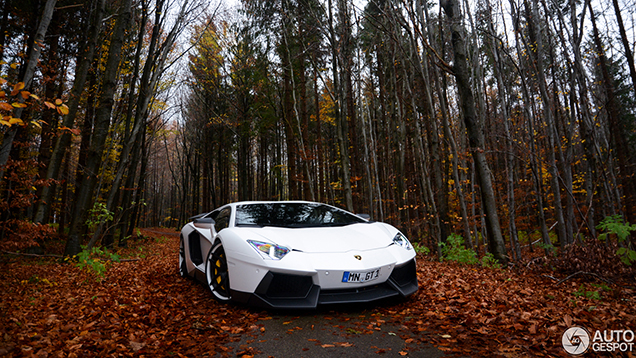 Special: op pad met de spectaculaire Novitec Torado!