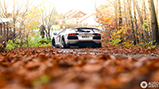 Special: op pad met de spectaculaire Novitec Torado!