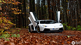 Special: op pad met de spectaculaire Novitec Torado!