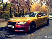Audi RS5 kleurt leuk bij de herfst