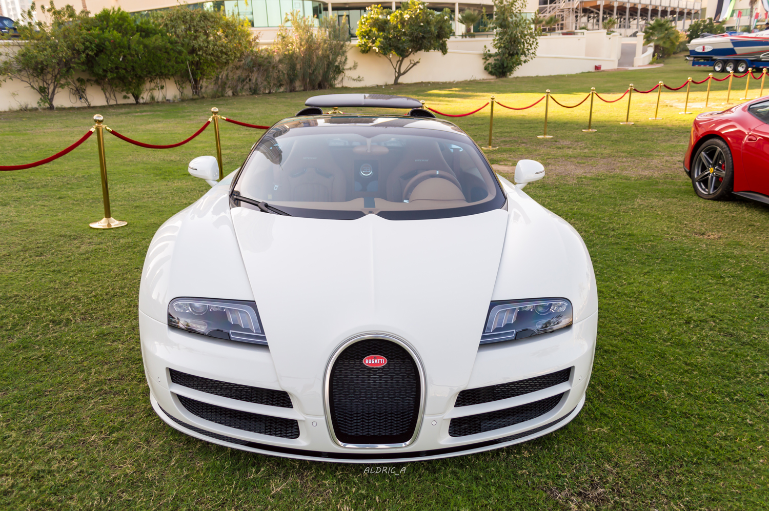 Supercars in Dubai Marina