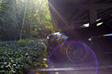 Jouw mooiste zomerfoto's deel 3