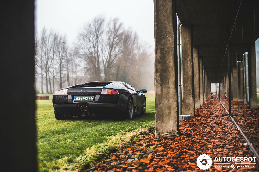 Lamborghini Murciélago geniet van fotoshoot